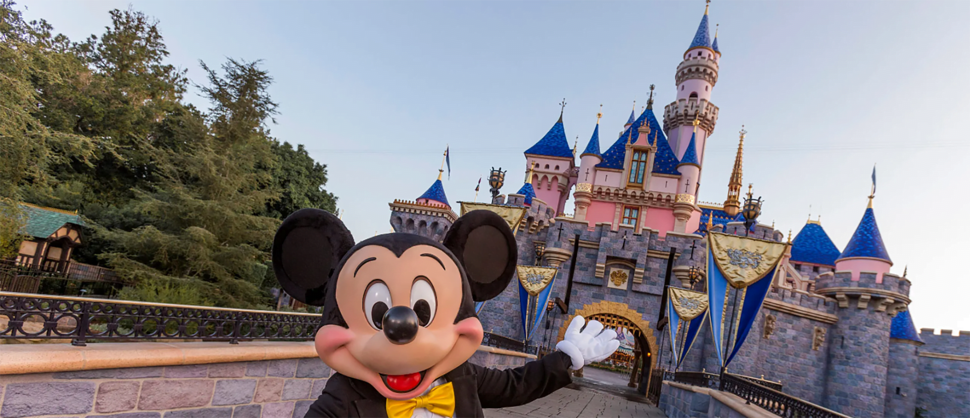 Disney 