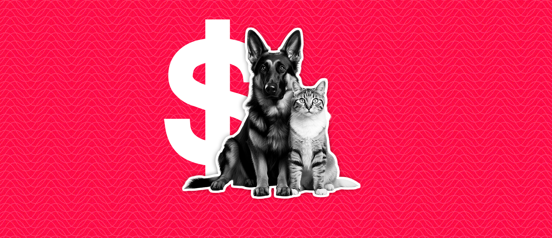 custa ter um animal de estimação