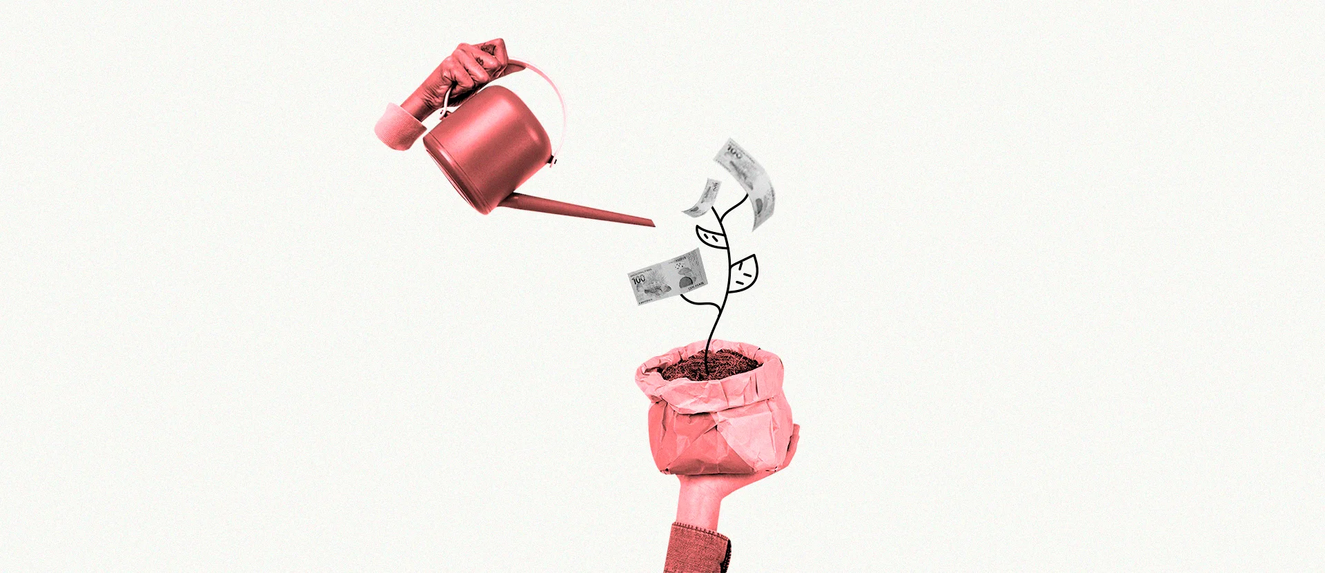 como reinvestir dividendos