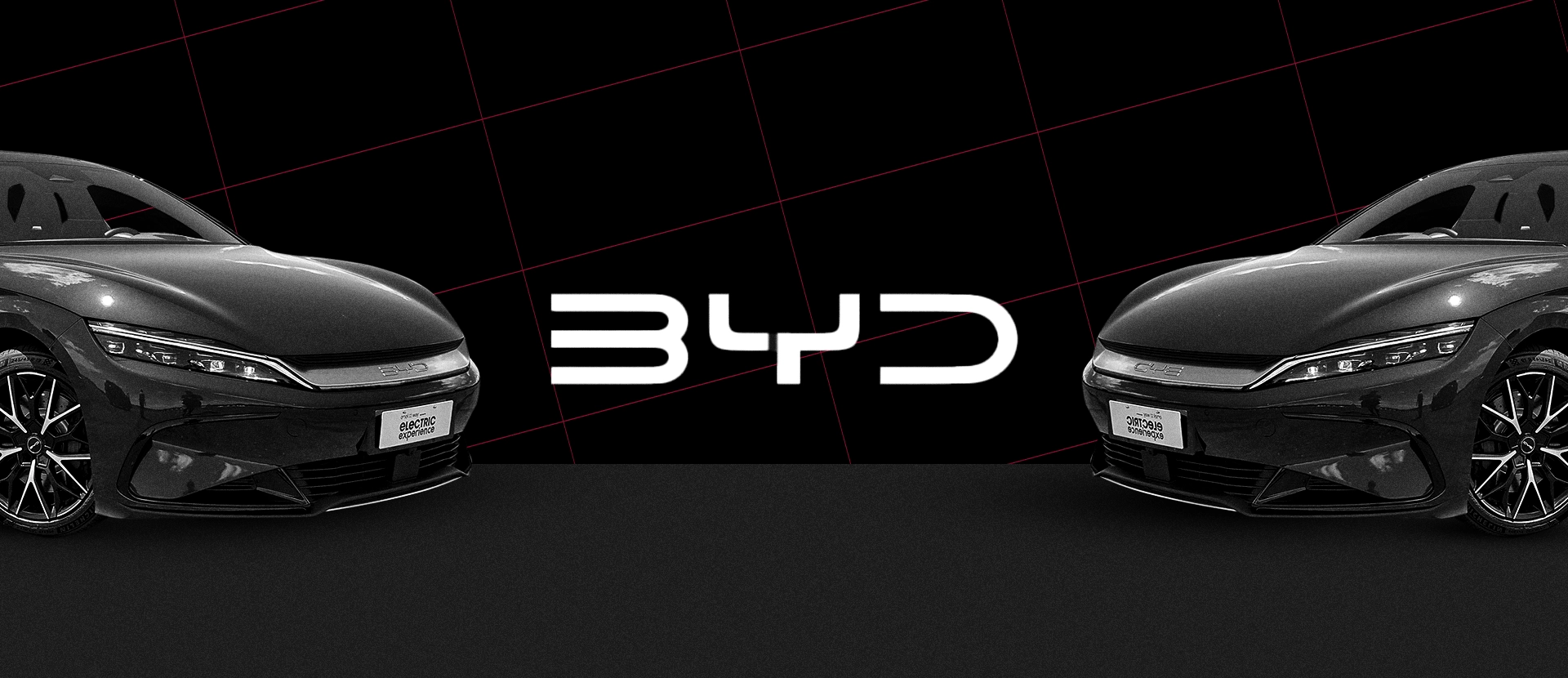 BYD
