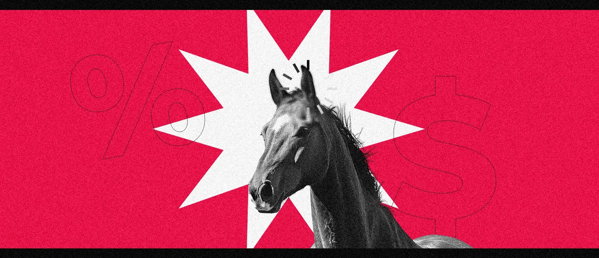 Investimentos alternativos- cavalo