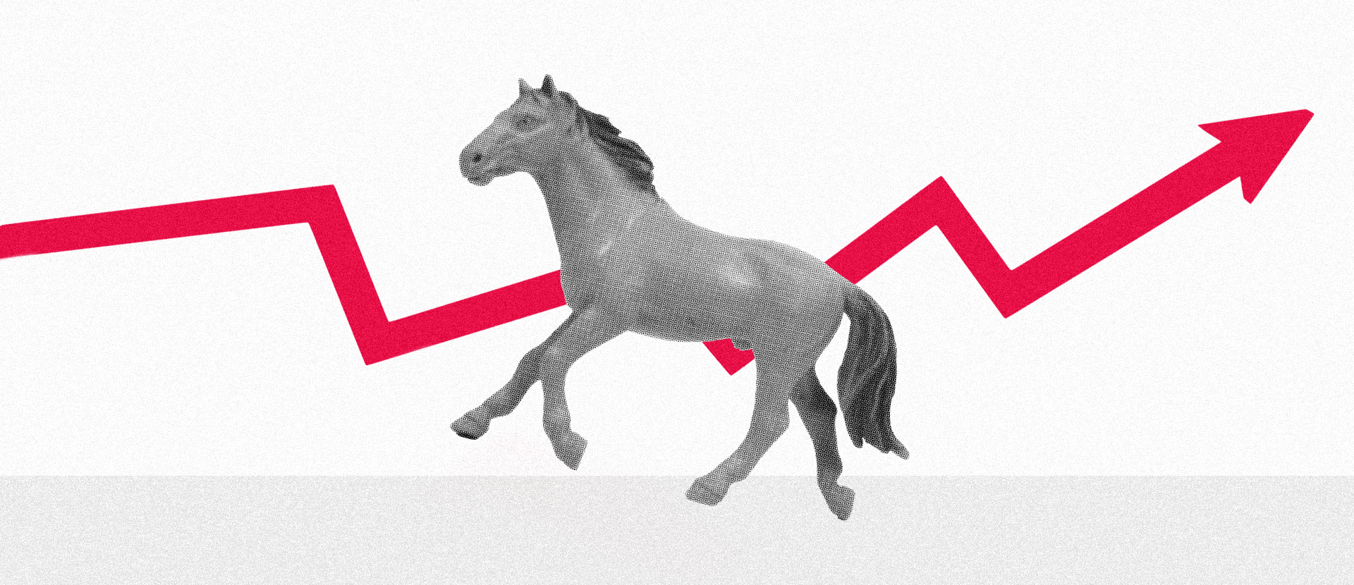 Quanto custa praticar hipismo no Brasil